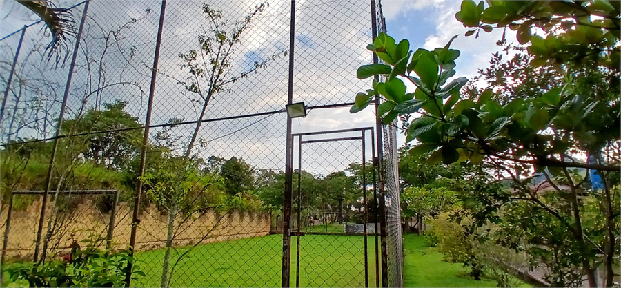 Foto REO1075802