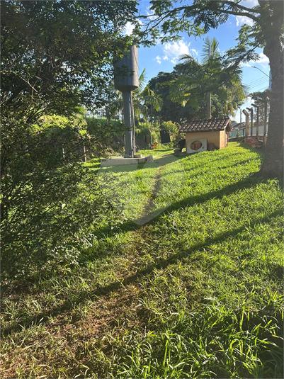 Foto REO1075802