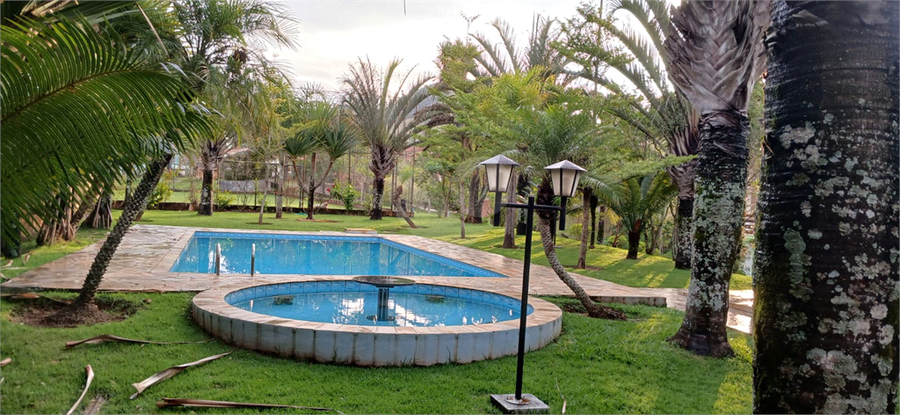 Foto REO1075802