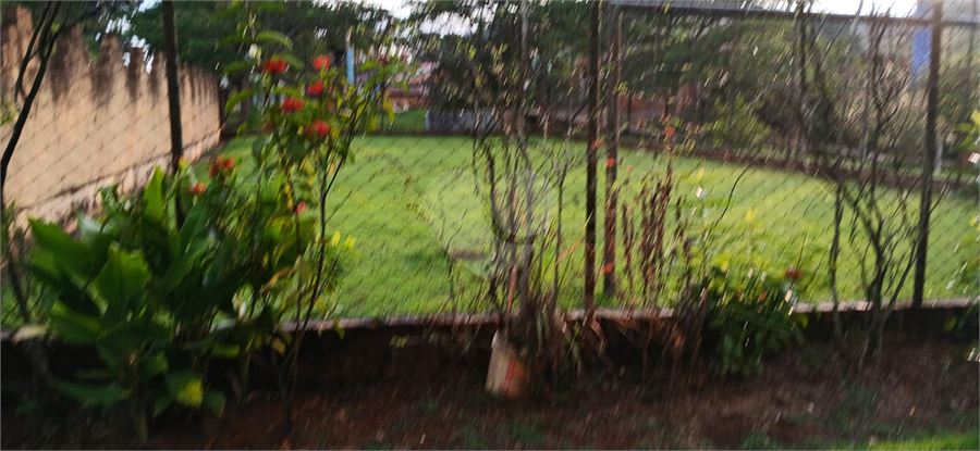Foto REO1075802