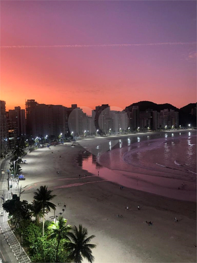 Foto REO1075807