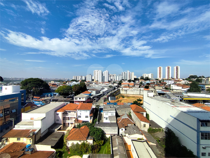 Foto REO1075817