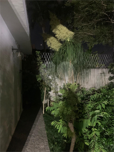 Foto REO1075877