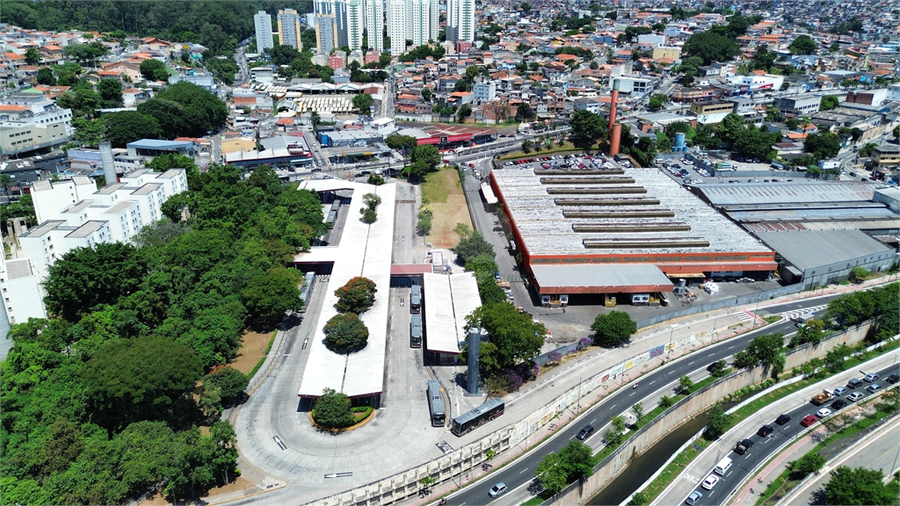 Foto REO1075895