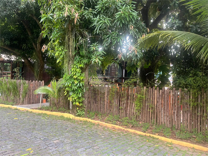 Foto REO1075899