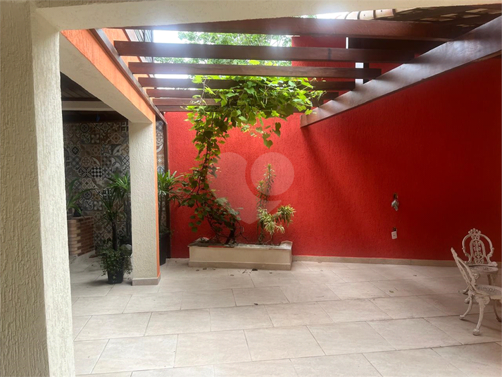 Foto REO1075899