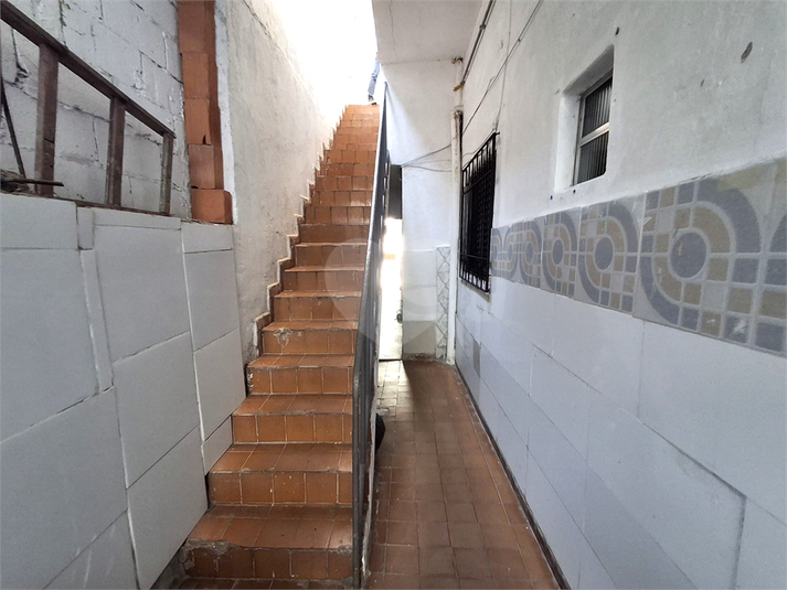 Foto REO1075912