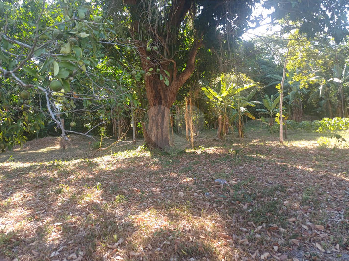 Foto REO1075918