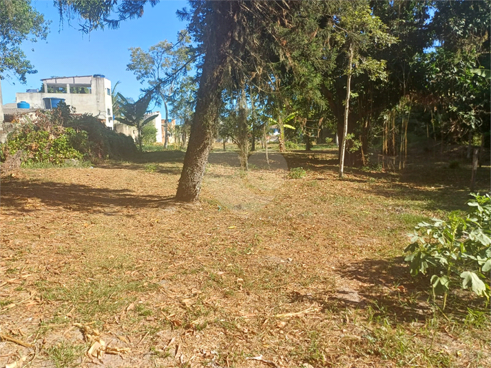 Foto REO1075918
