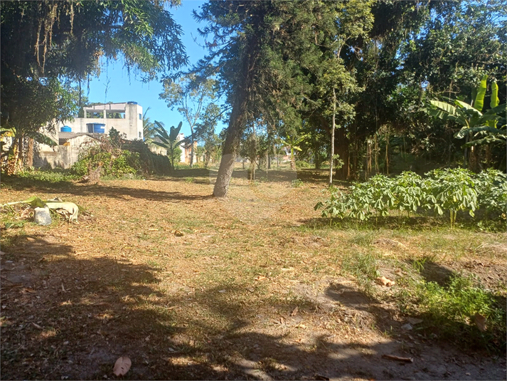 Foto REO1075918