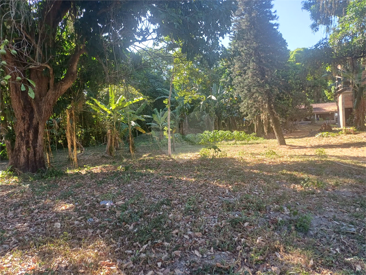 Foto REO1075918