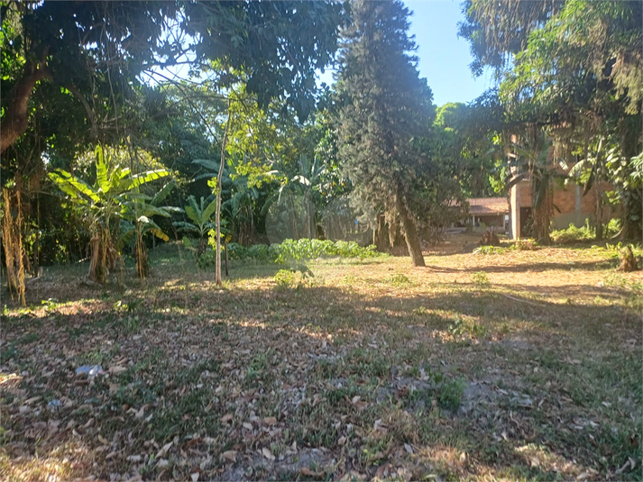 Foto REO1075918