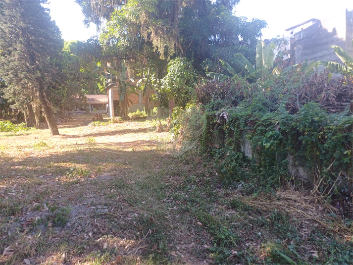 Foto REO1075918