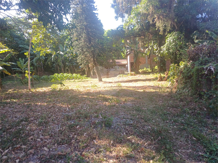 Foto REO1075918