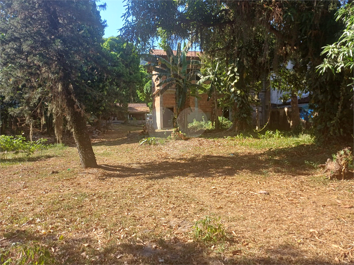 Foto REO1075918