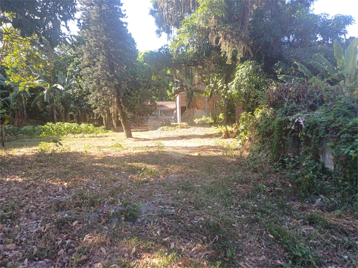 Foto REO1075918