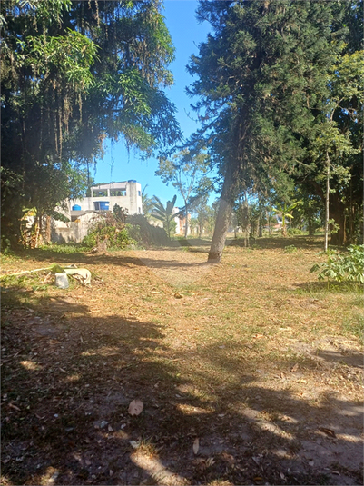 Foto REO1075918