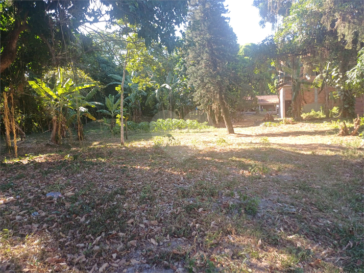 Foto REO1075918