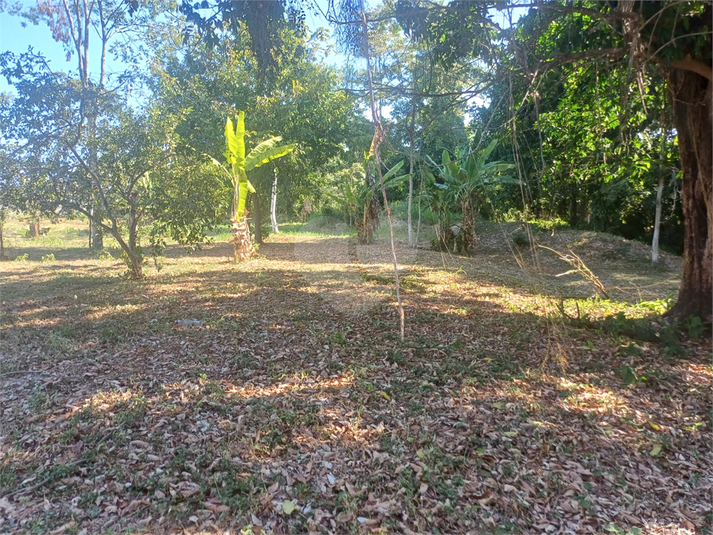 Foto REO1075918