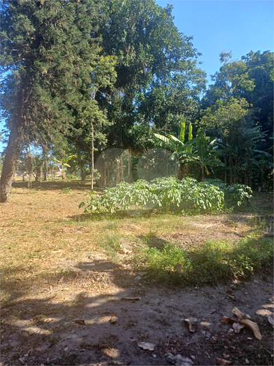 Foto REO1075918