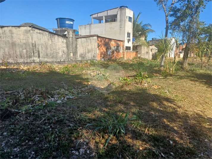 Foto REO1075918