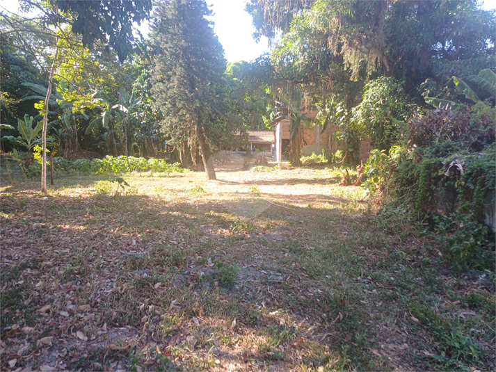 Foto REO1075918