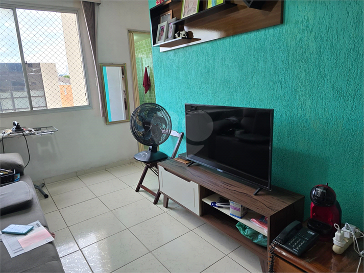 Foto REO1075925