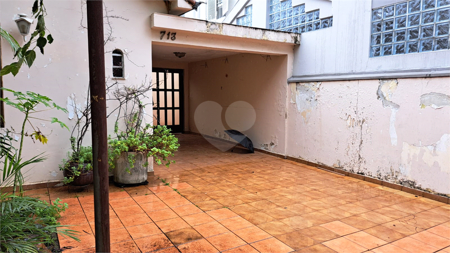 Foto REO1075930
