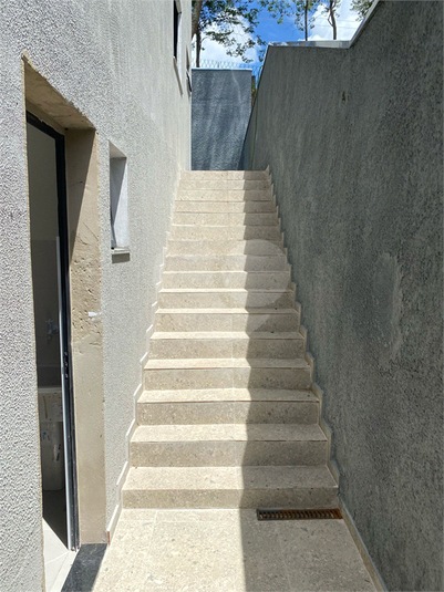 Foto REO1075959