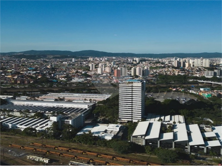 Foto REO1075962