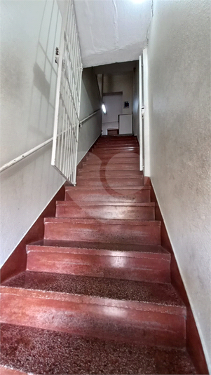 Foto REO1075964