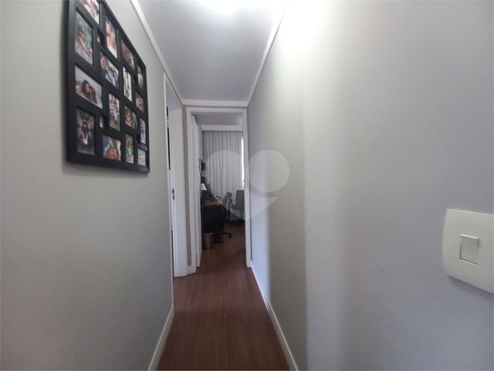 Foto REO1075968