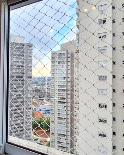 Foto REO1075977
