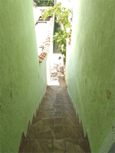 Foto REO1075984