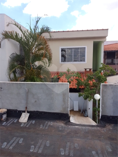 Foto REO1075984