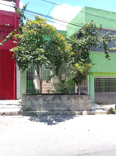 Foto REO1075984