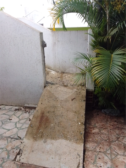 Foto REO1075984