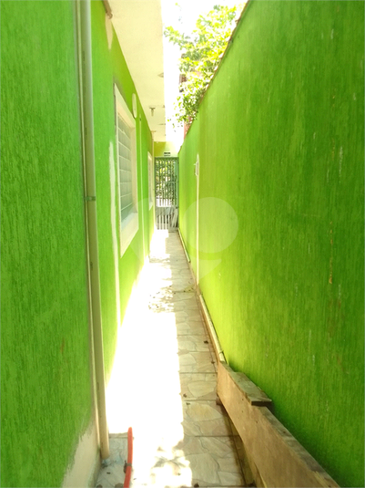 Foto REO1075984