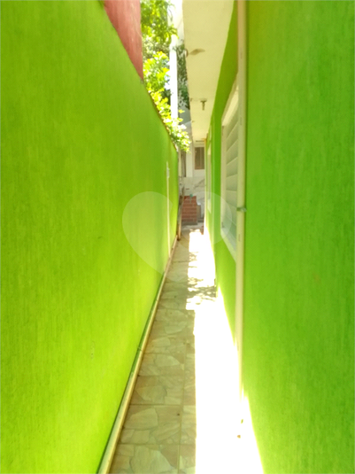 Foto REO1075984