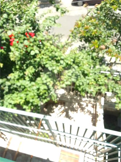Foto REO1075984