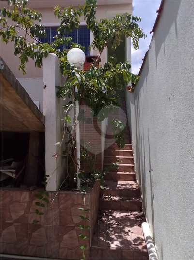 Foto REO1075984