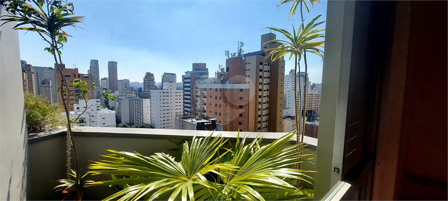 Foto REO1076002
