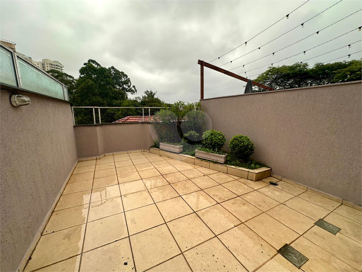 Foto REO1076011