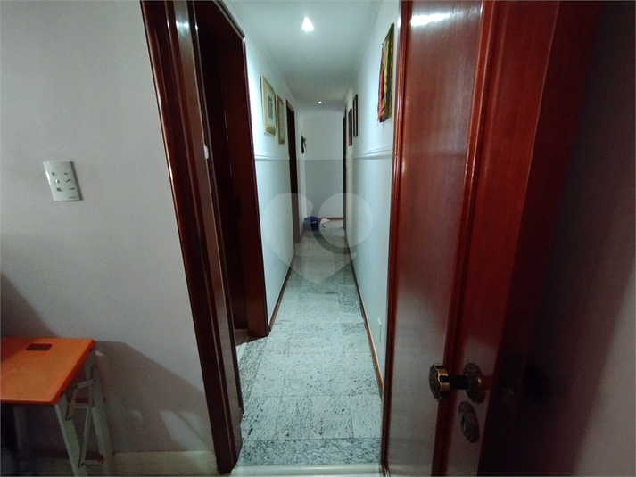 Foto REO1076020