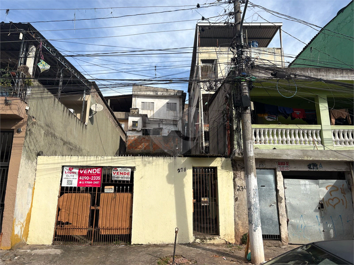 Foto REO1076038
