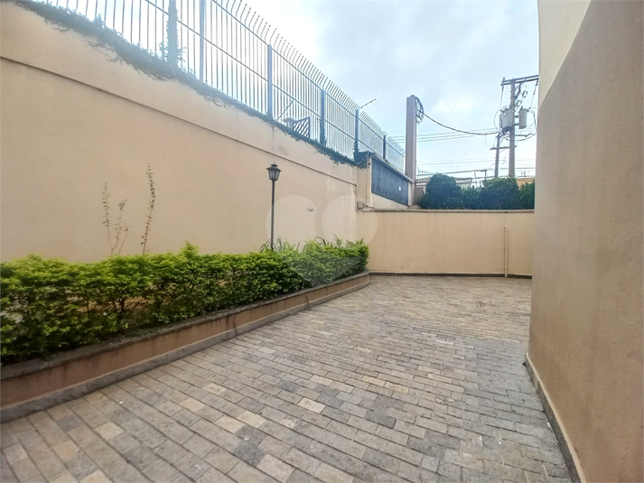 Foto REO1076083