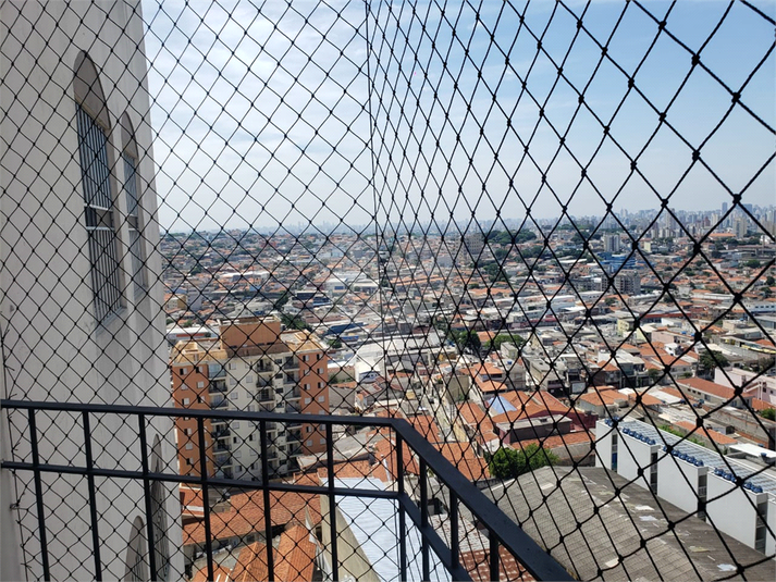 Foto REO1076083