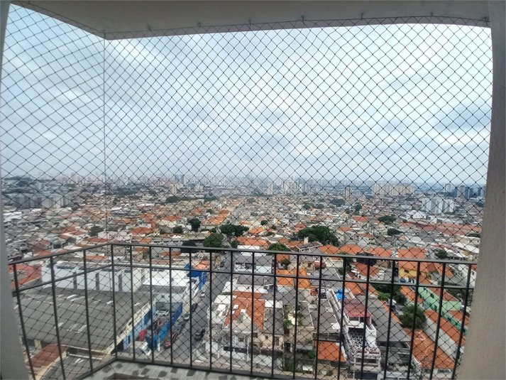 Foto REO1076083