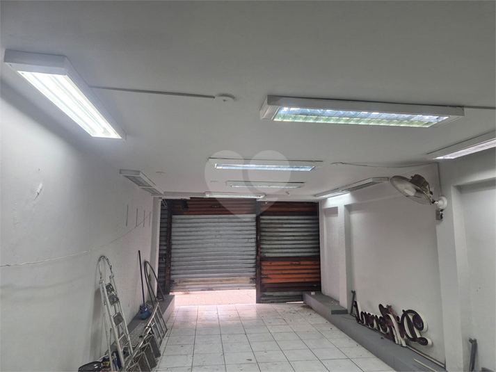 Foto REO1076101