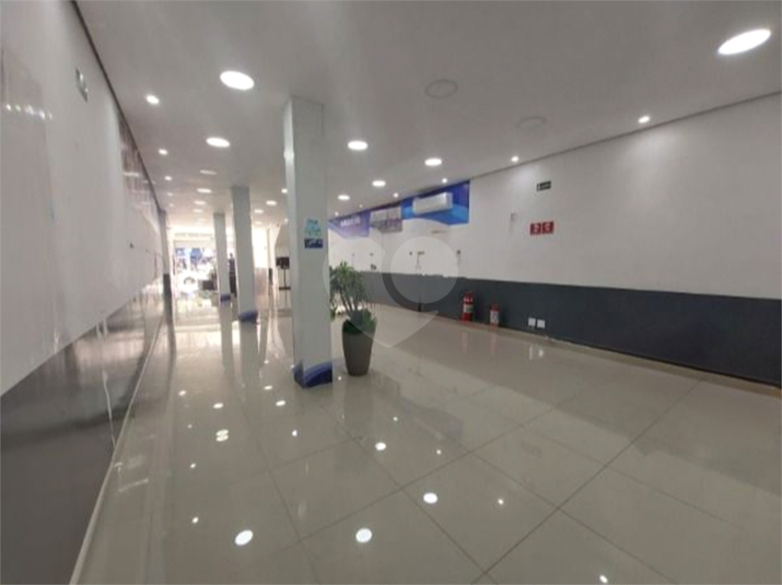 Foto REO1076128